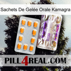 Sachets De Gelée Orale Kamagra new12